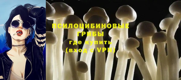 прущие грибы Алексеевка