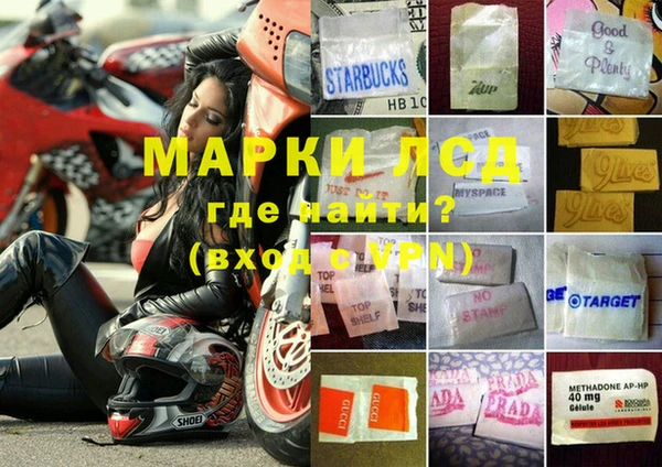 прущие грибы Алексеевка
