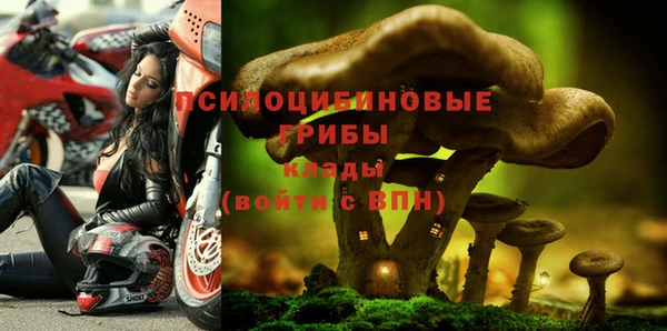 ALPHA PVP Алзамай