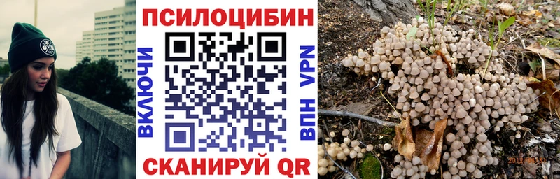Псилоцибиновые грибы Psilocybine cubensis  Удачный 